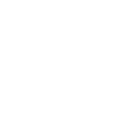 The White Bull